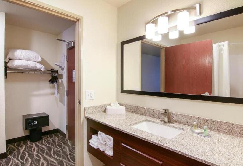 스탠다드 스튜디오, Cobblestone Hotel & Suites Hartford