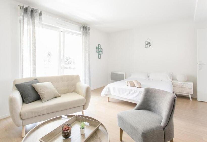 Студия Стандарт Двуспальная Кровать, Zenao Appart Hôtels Mulhouse