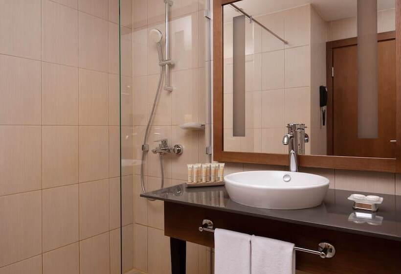 Номер Стандарт, Medical Spa Hotel Rosa Springs