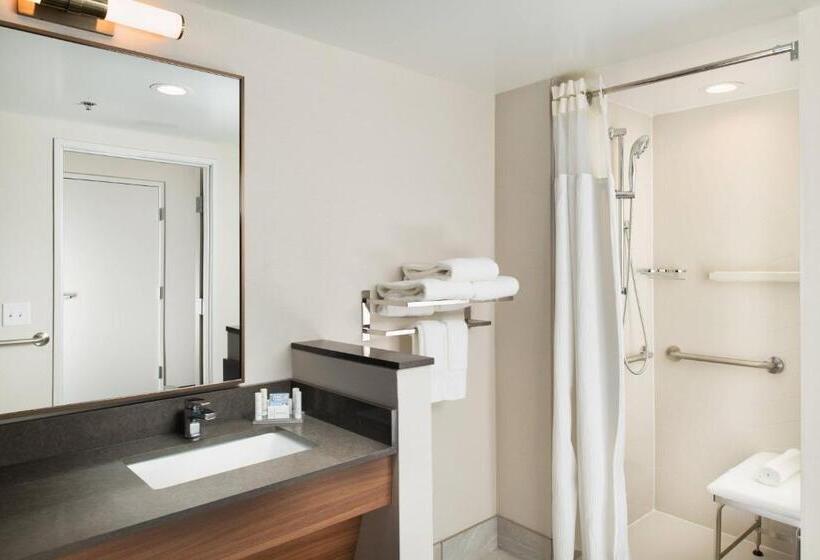 带大床的标准间, Fairfield Inn & Suites By Marriott Athens