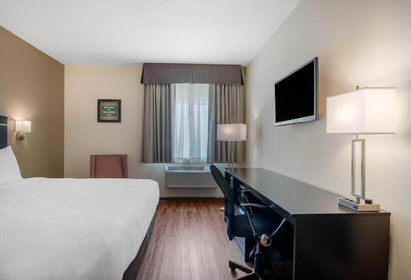 스탠다드 룸 킹사이즈 침대, Econo Lodge Inn & Suites