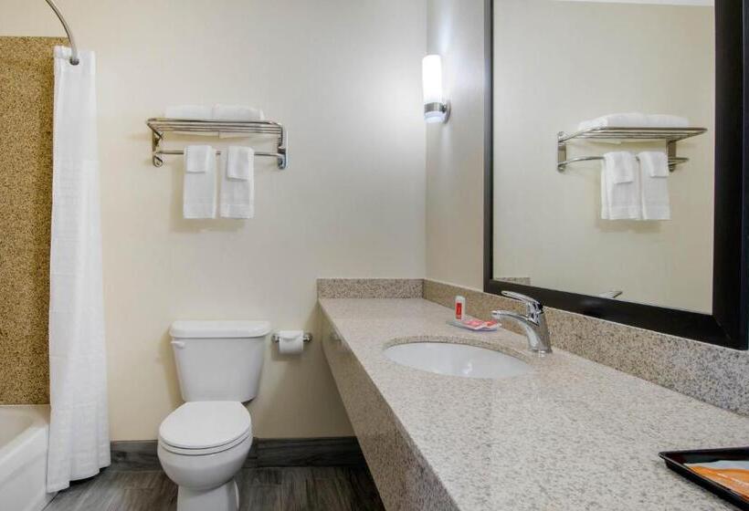 스탠다드 룸 킹사이즈 침대, Econo Lodge Inn & Suites