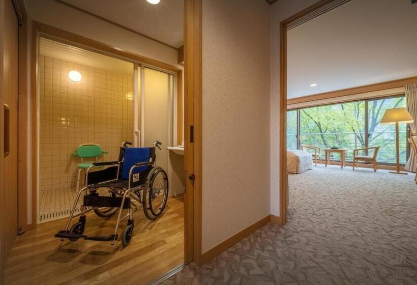 Номер Стандарт Адаптированный для Инвалидов, Iizaka Onsen Surikamitei Ohtori