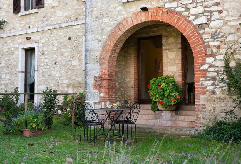 Студия Стандарт, Podere Sant Alessandro