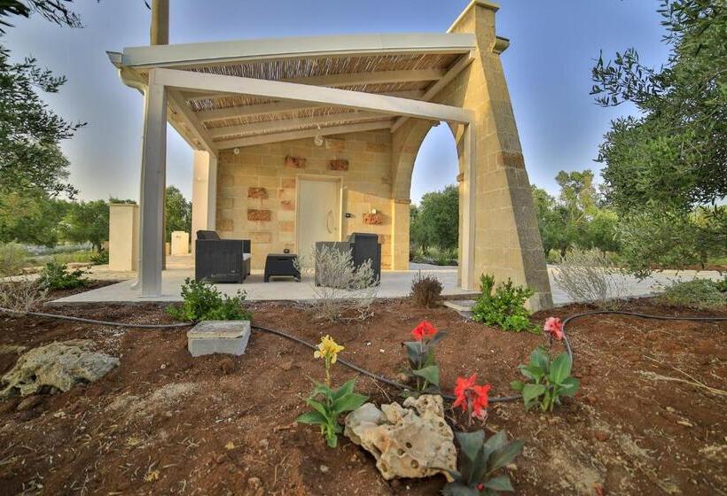 اتاق اجرایی سه نفره, Terra Dei Sogni