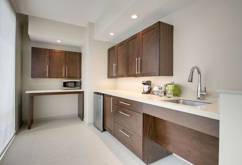 套房, Hyatt Place Milwaukee Downtown