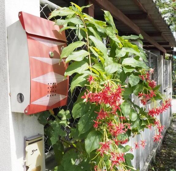 Семейное Бунгало, Bann Rai Klai Weang Homestay
