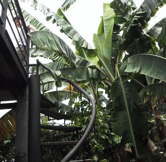 Семейное Бунгало, Bann Rai Klai Weang Homestay
