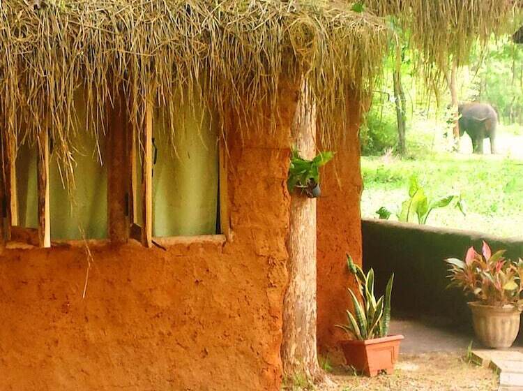 سوییت لوکس, Greenwood Udawalawa Safari Resort