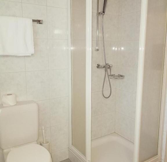 اتاق استاندارد یک نفره, Ambiente Mountain Style