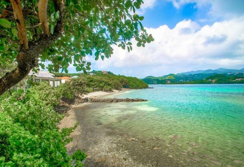 ویلای 2 خوابه با چشم‌انداز دریا, 473 Grenada Boutique Resort