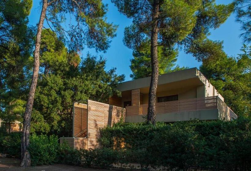 프리미엄 트리플 룸, Club Agia Anna