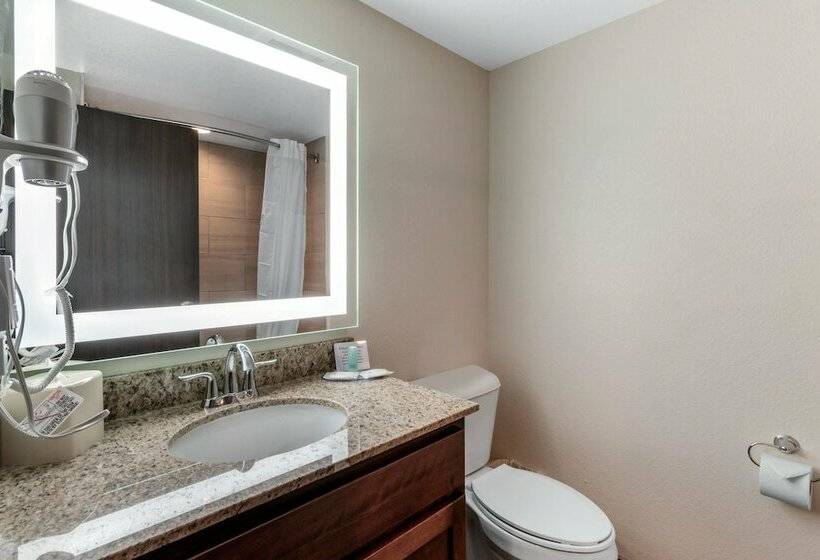 סוויטה, Mainstay Suites Denver International Airport