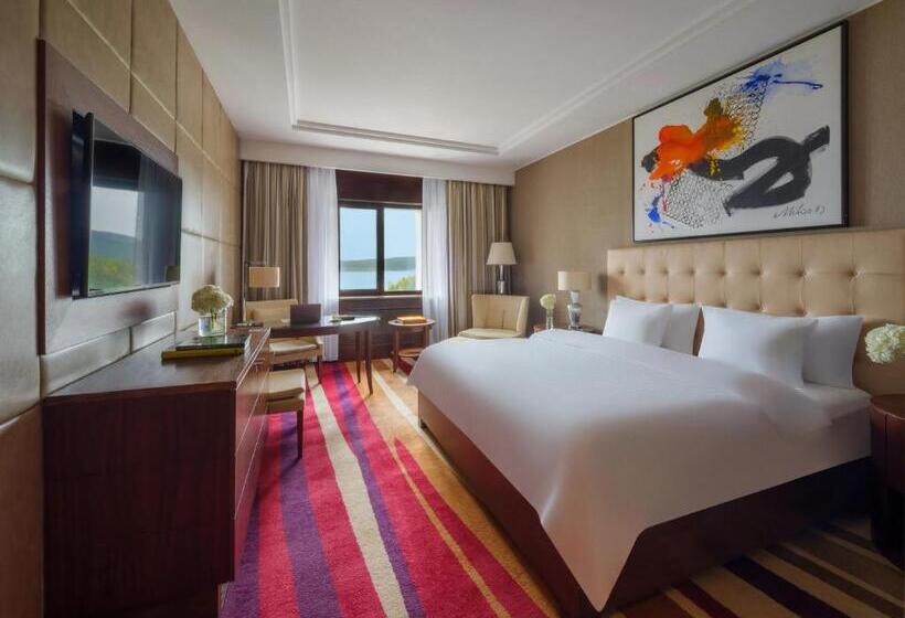 اتاق دلوکس با تخت کینگ و چشم‌انداز, Rixos Borovoe