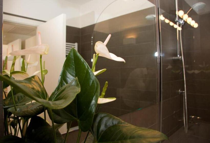 Apartamento Superior 1 Dormitorio, Residence De La Gare