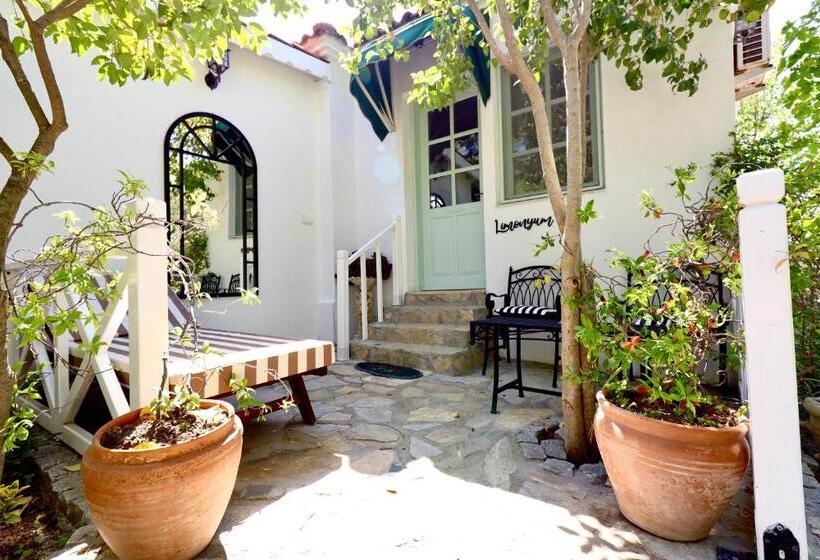 اتاق استاندارد با چشم‌انداز باغ, Kemerbag 29   Adults Only