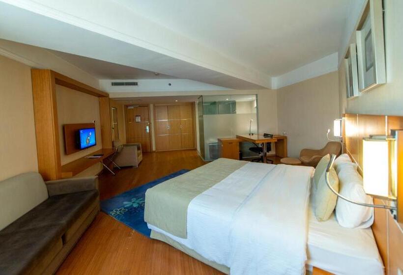 スタンダードルーム, Jura Hotels Afyon Thermal