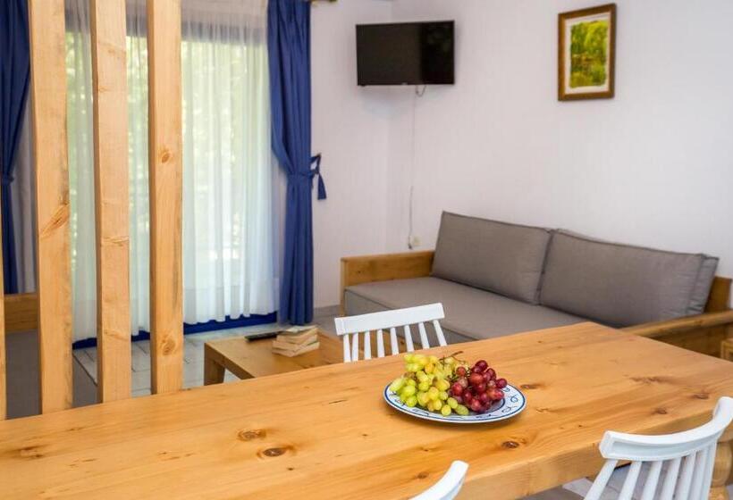 Apartamento 1 Dormitório Vista Jardim, Rodon House Apart