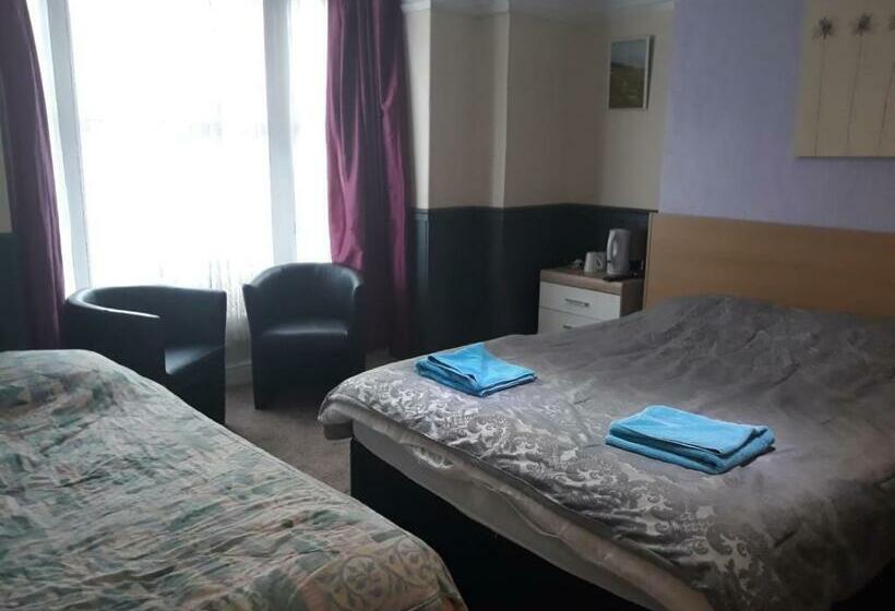 스탠다드 룸 공동 욕실, Llwynygog Guest House