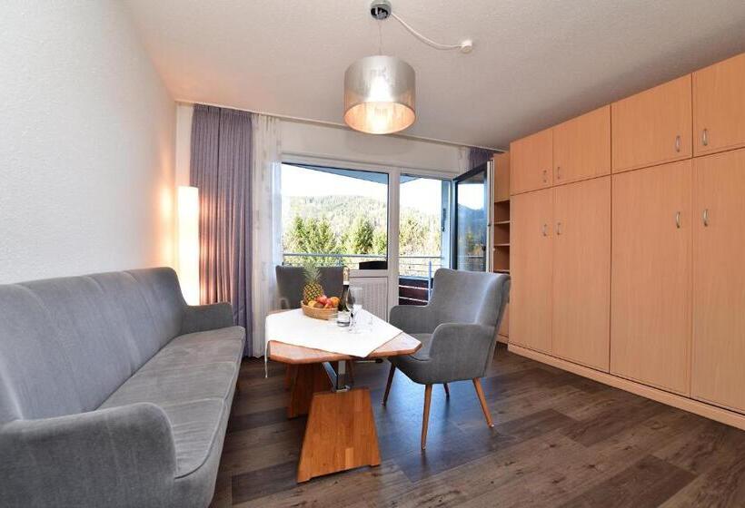 Апартаменты Комфорт 1 Спальня, Familienhotel Kleinwalsertal