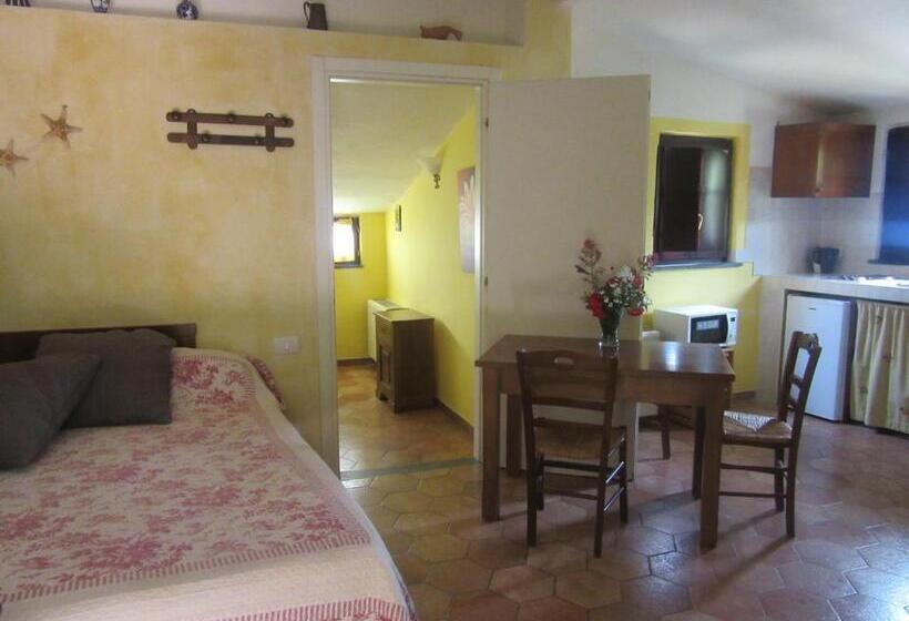 Quarto Quádruplo Estandar, Il Borgo Di Campi