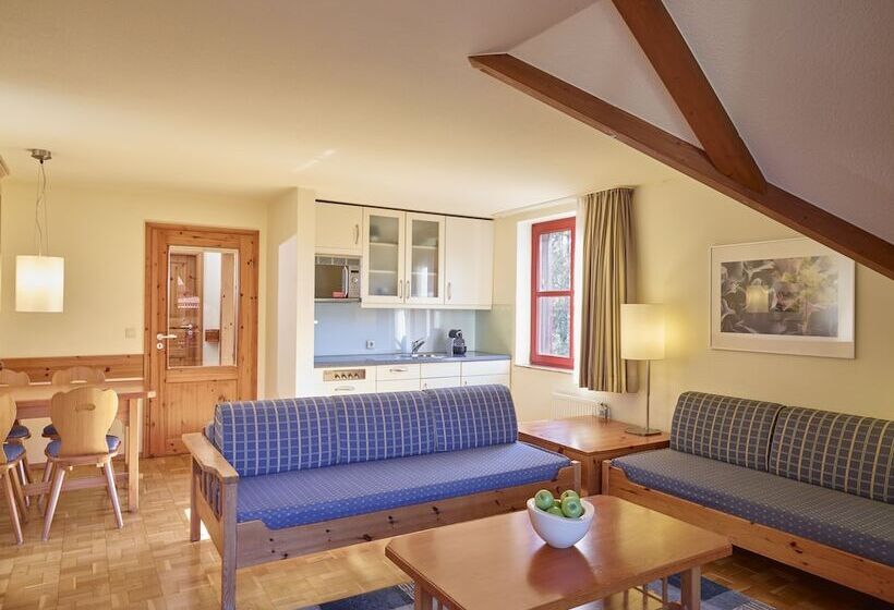 Апартаменты 1 Спальня, Hapimag Ferienwohnungen Braunlage