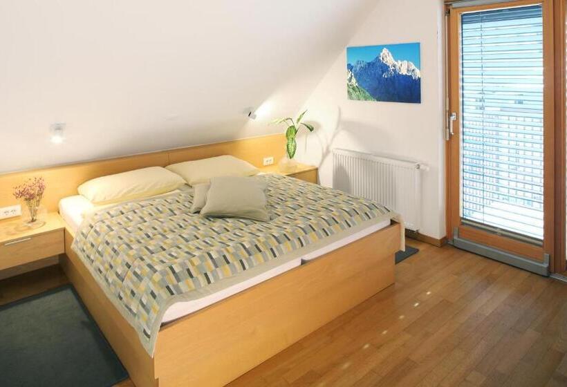 آپارتمان سوپریور 1 خوابه, Apartments And Rooms Bernik