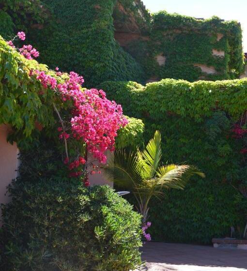 اتاق استاندارد, Residence Fenicia