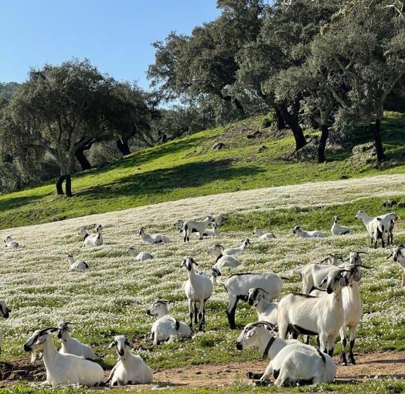 Дом 1 Спальня, Monte Dos Pensamentos   Turismo Rural