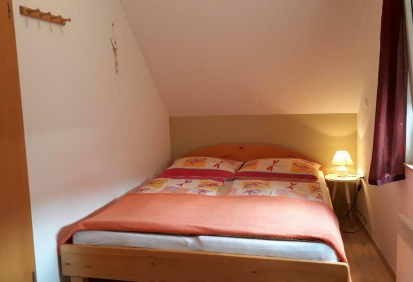 اتاق استاندارد با سرویس بهداشتی مشترک, Apartments & Hostel Bohinj
