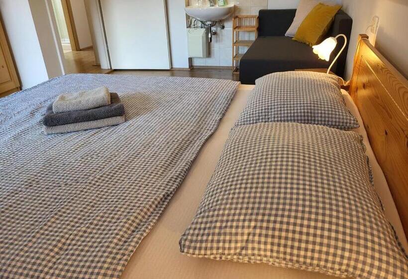 آپارتمان 1 خوابه با چشم‌انداز, Apartments & Hostel Bohinj