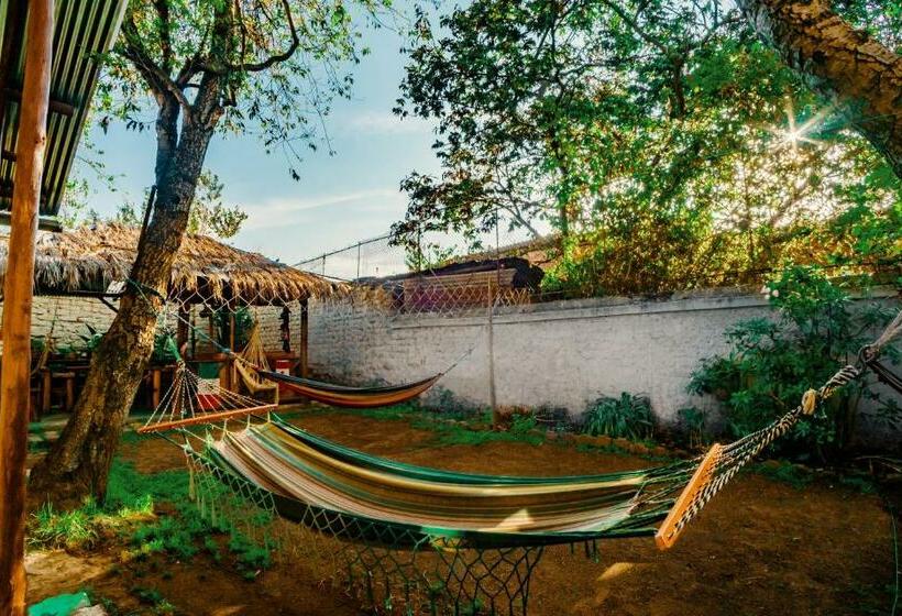 Quarto Estandar Banheiro Compartilhado, Colonial House Inn