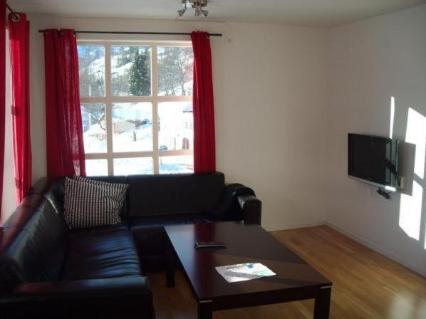 带2个卧室的公寓, Røldal Overnatting
