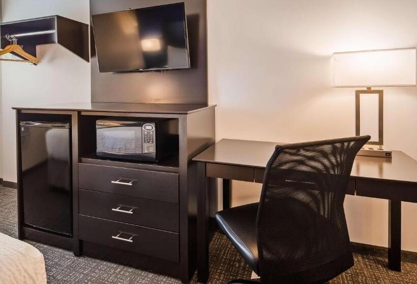اتاق استاندارد با تخت بزرگ, Surestay Hotel By Best Western Presque Isle
