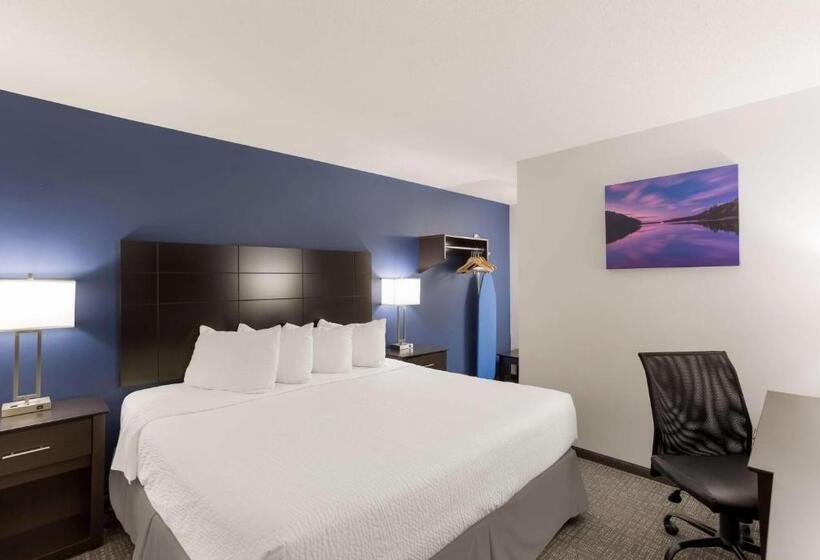 سوئیت با تخت بزرگ, Surestay Hotel By Best Western Presque Isle