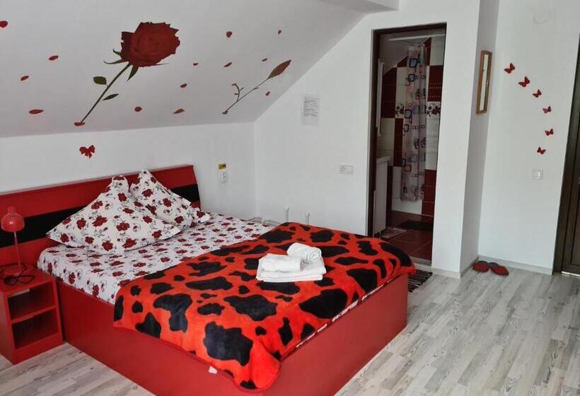 غرفة قياسية, Pensiunea Constanta