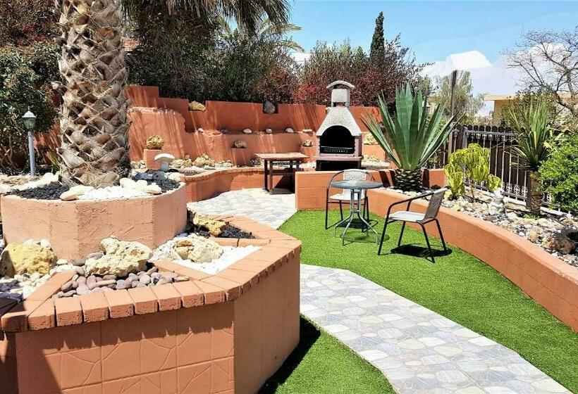 패밀리 스튜디오, Dead Sea Sun Guest House