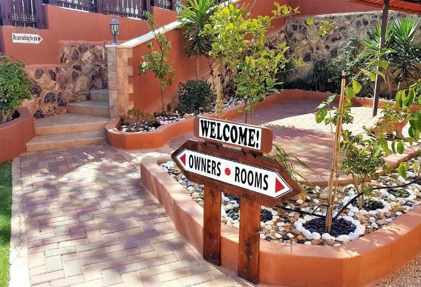 스탠다드 룸, Dead Sea Sun Guest House