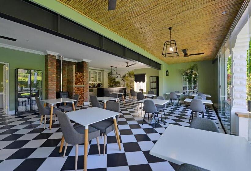 Апартаменты Deluxe 1 Спальня, Fransvliet Guest House