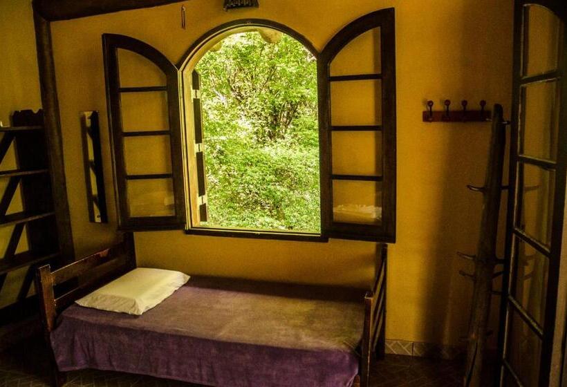 Номер Стандарт, Paraty Paradiso
