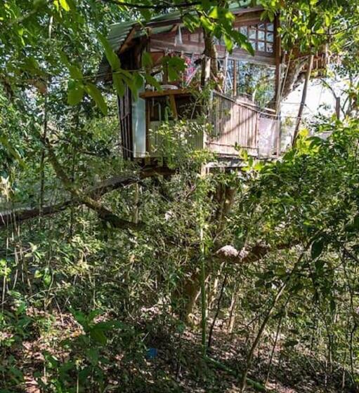 Дом 1 Спальня, Paraty Paradiso