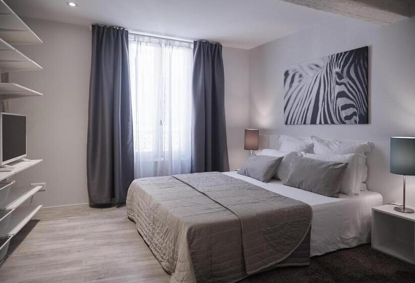 آپارتمان دوبلکس 1 خوابه, La Résidence Arles Centre