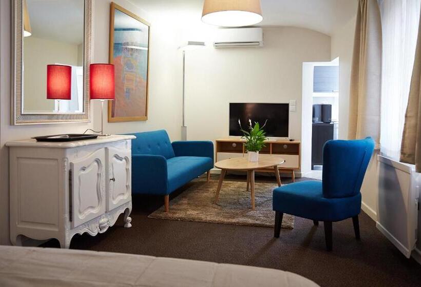 １ベッドルームのデラックスアパートメント, La Résidence Arles Centre