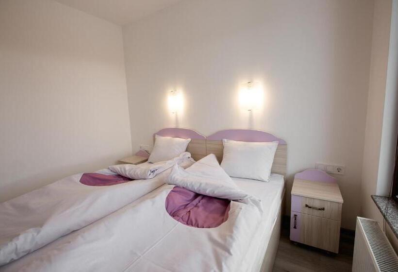 Апартаменты 1 Спальня, Guest House Panorama