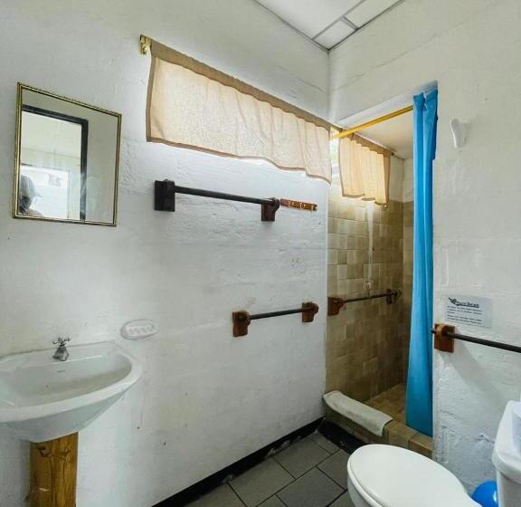 Номер Стандарт, Hostal Darwin B&b