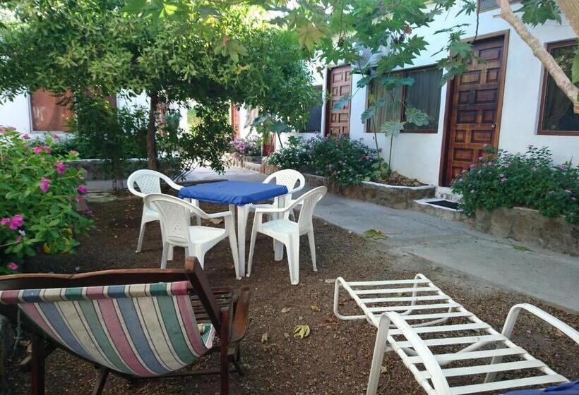 Номер Стандарт Индивидуальный, Hostal Darwin B&b