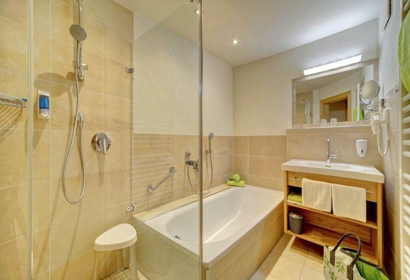 Апартаменты 1 Спальня, Appart Hotel Wildererstuben