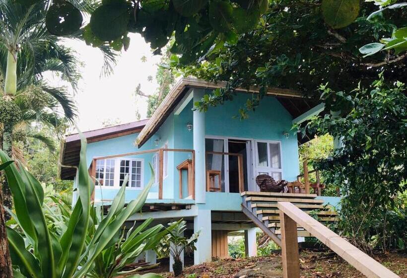 بنجلو ديلوكس, Bird Island Bungalows