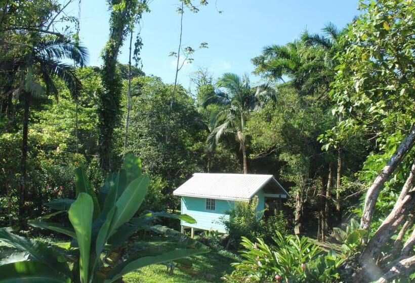 بنجلو قياسى مطل على البحر, Bird Island Bungalows