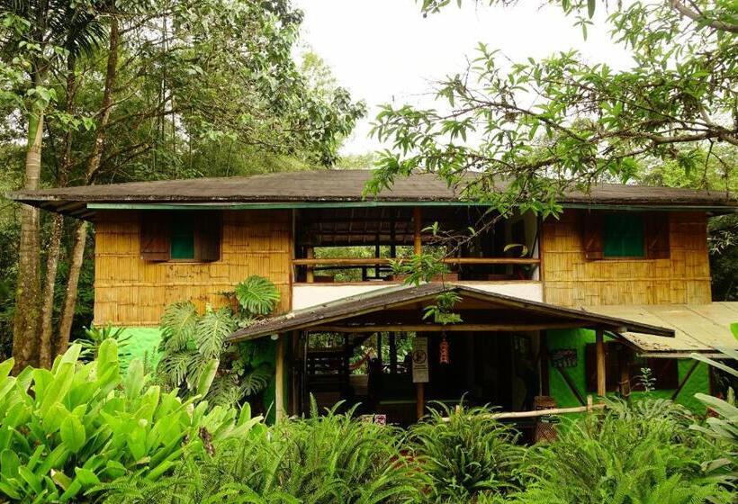 Номер Стандарт, Cabañas Bambu Mindo